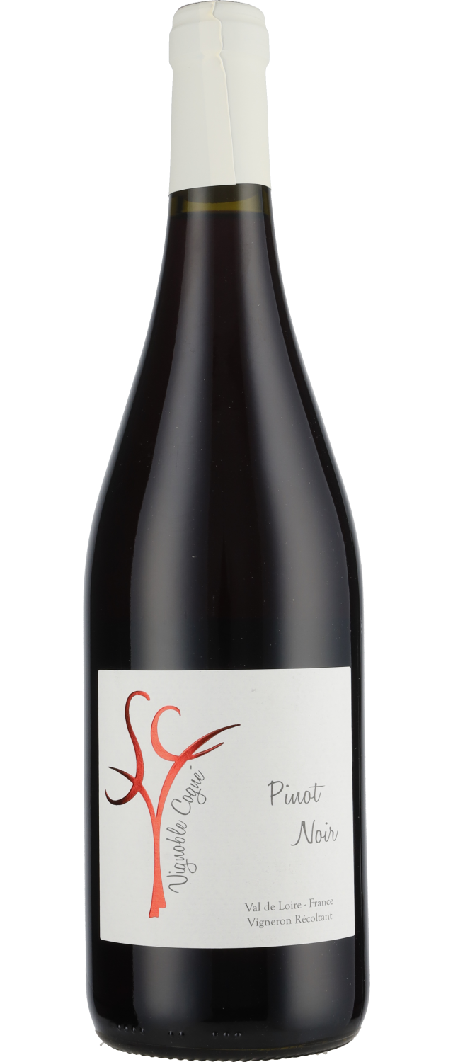 2025 Pinot Noir Rouge IGP Loire Domaine Vignoble Cogné