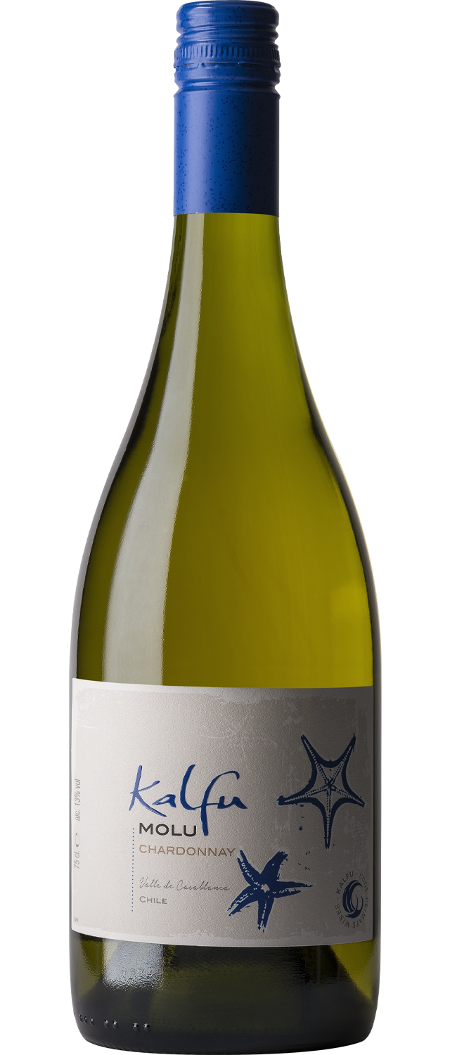 2024 Molu Chardonnay Casablanca Ventisquero